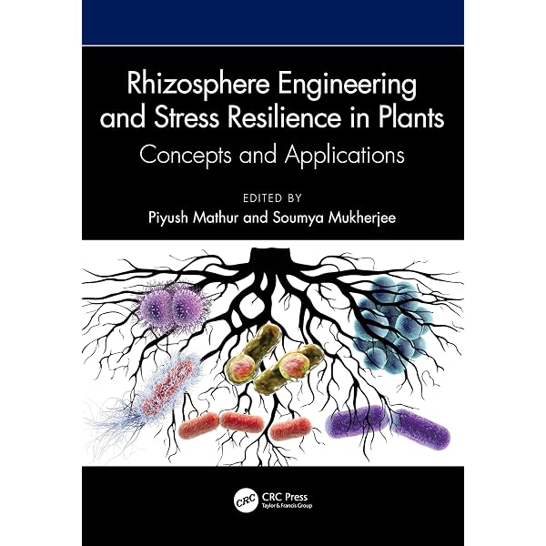 Approaches for Enhancing Abiotic Stress Tolerance in Plants